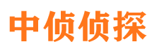 新县侦探公司